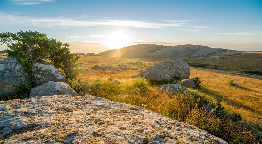 Sonnige Landschaft bei einer Eswatini Reise