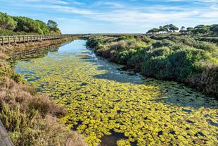 Naturpark Rio Farmosa