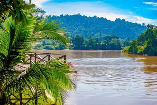 Kinabatangan-Fluss