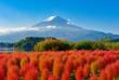 Blick auf den Mount Fuji