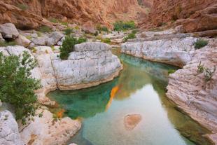 Wadi Bani Khalid