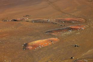 Plaine des Sables