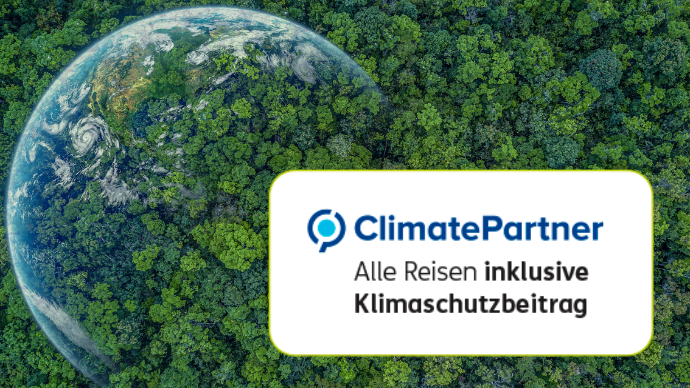ClimatePartner Logo vor einem Wald