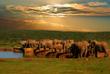 Addo Elefantenpark