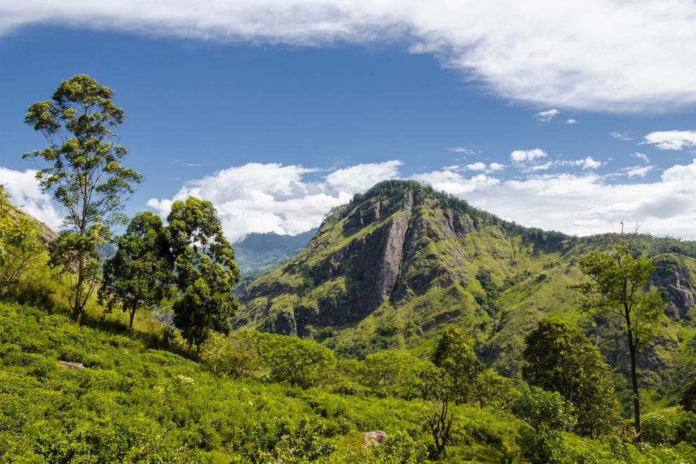 Little Adam's Peak