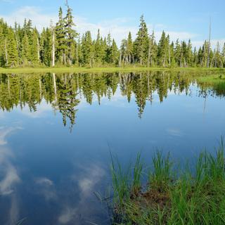 Strathcona Park 