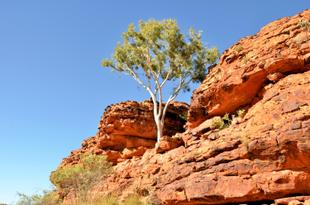 Kings Canyon 