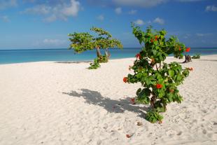 Playa Blanca