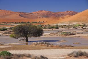 Sossuvlei