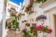 Bunte Blumen in Cisternino 