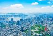 Panoramablick auf Tokyo