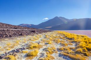 Landschaft der Laguna Colorada