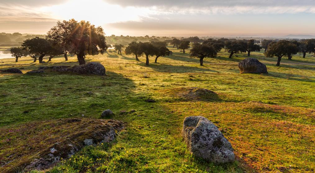 Sonnenuntergang Extremadura Spanien Reisen