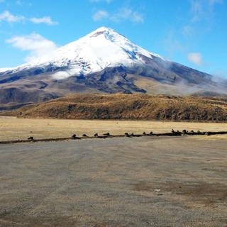 Der aktive Vulkan Cotopaxi