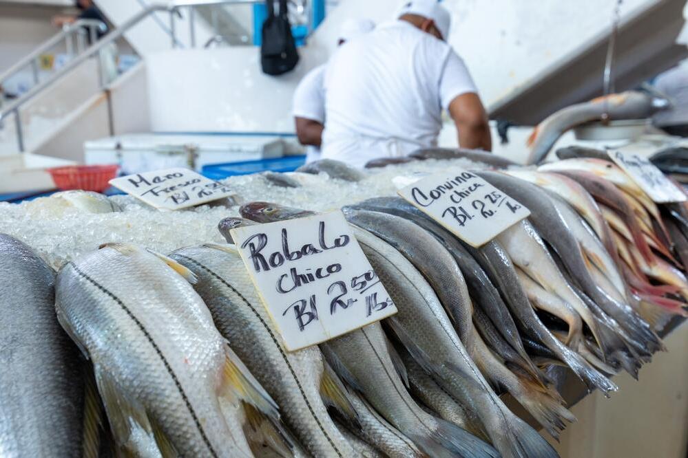 Fischmarkt 