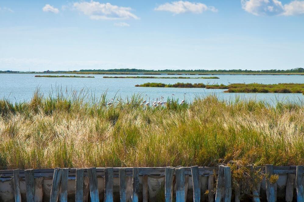 Comacchio 