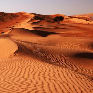 Landschaft in Wahiba Sands