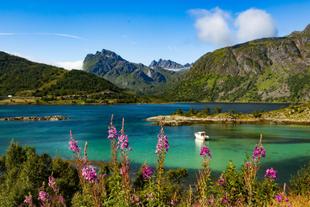 Vesterålen im Sommer