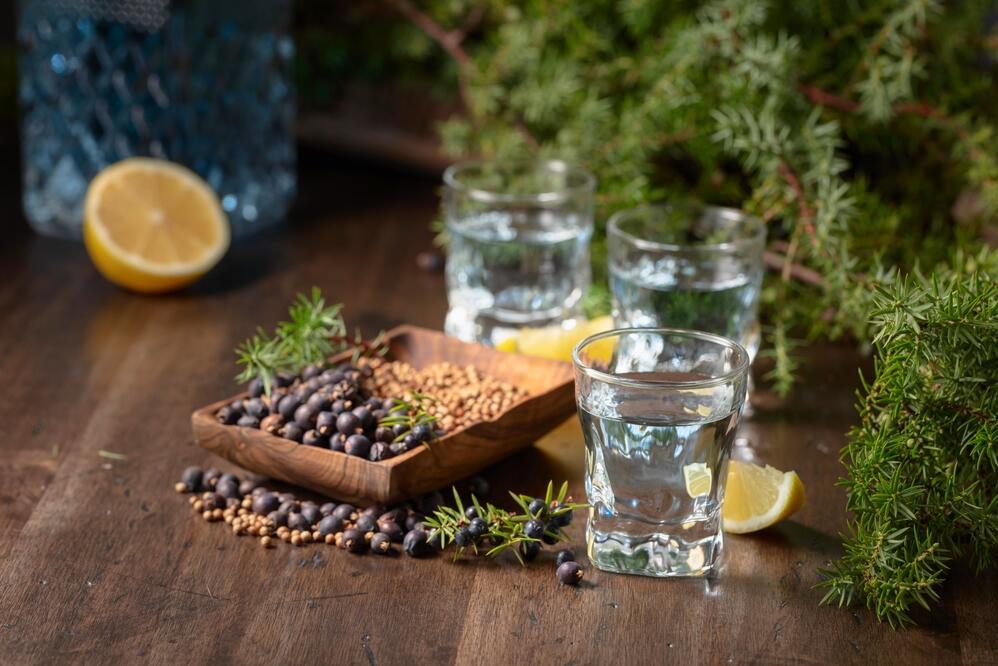 Gin Verkostung