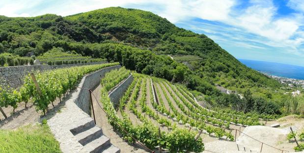 Panoramablick Ischia