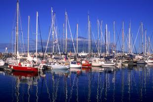 Hafen von Horta auf Faial Island