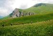 Wanderung