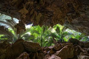 Kalksteinhöhle  Tham Hup Pa Tat