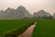 Reisfelder bei Halong Bay