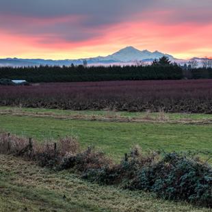 Mount Baker