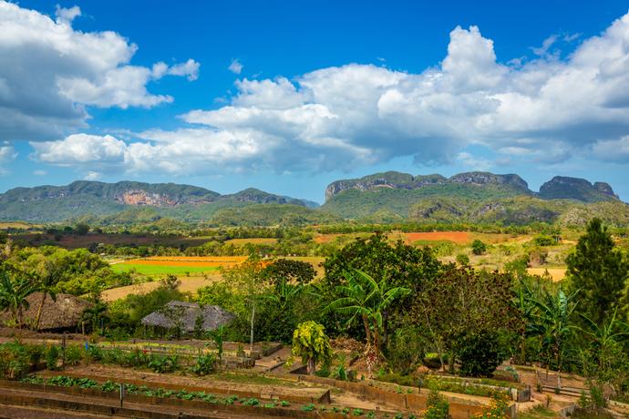 Finca Agroecologica El Paraiso