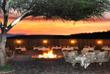 Lagerfeuer bei Sonnenuntergang