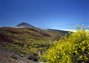 Landschaft Teide