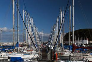 Yachten in Horta