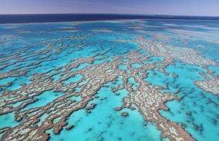 Great Barrier Reef 