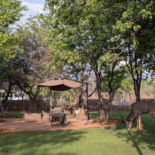 Kudu auf dem Gelände der Etosha Village Lodge