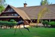Ihre Arumeru River Lodge