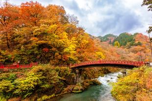 Nara Nationalpark