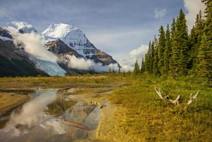 Mount Robson