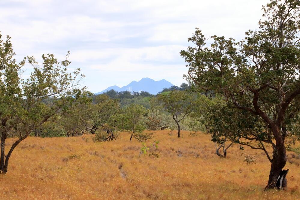 Landschaft bei Rincón de la Vieja 
