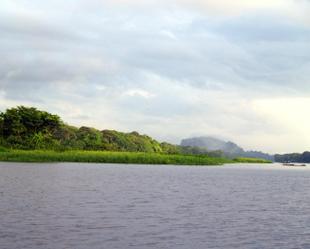 Tortuguero