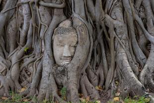 Ayutthaya Historical Park