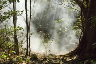 Rincon de la Vieja