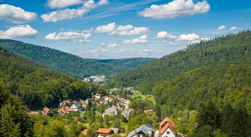 Schwarzwald