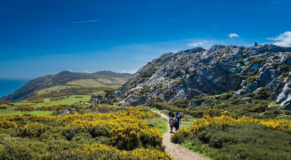 Wanderweg von Bray nach Greystone