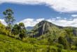 Little Adam's Peak