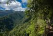 Levada do Rei