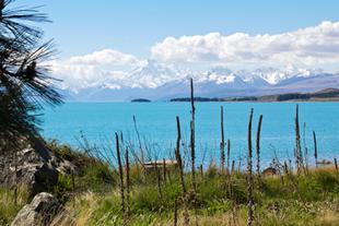 Lake Pukaki mit Mt. Cook und Mt. Tasman 