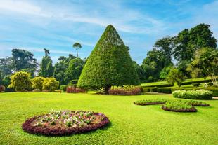 Botanischer Garten in Kandy