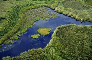 Okavango Delta
