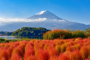 Oishi Park